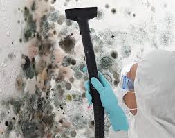 Best Comprehensive Air Testing for Mold Contaminants in St Georges, DE